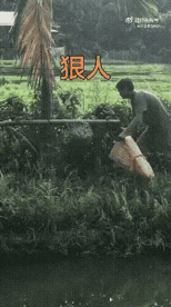 敢捅马蜂窝的人结果会怎样？