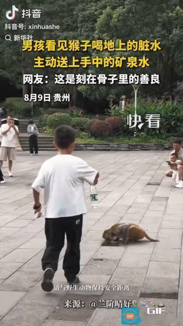 “上新华社了!”贵州景区里，一名小男孩见小猴子喝地上的脏水，于心不忍，将手上的矿