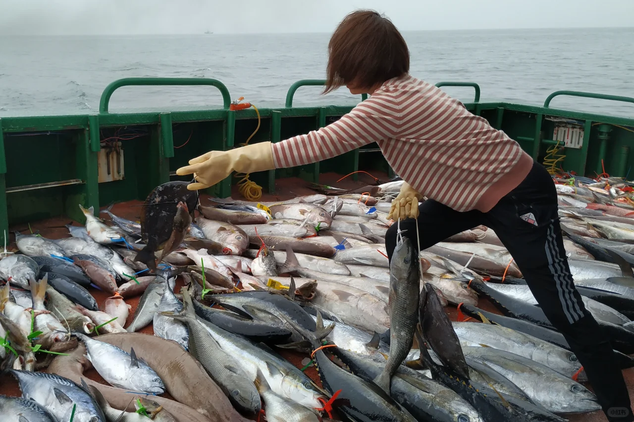 腌制海钓虾饵的5个注意事项，海钓必备鱼饵