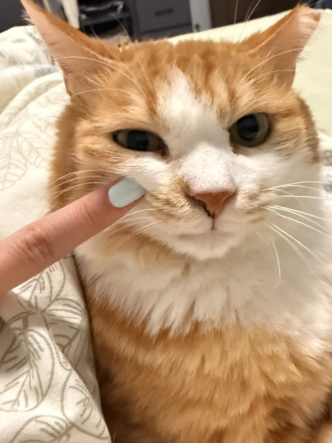 他好像知道自己很可爱