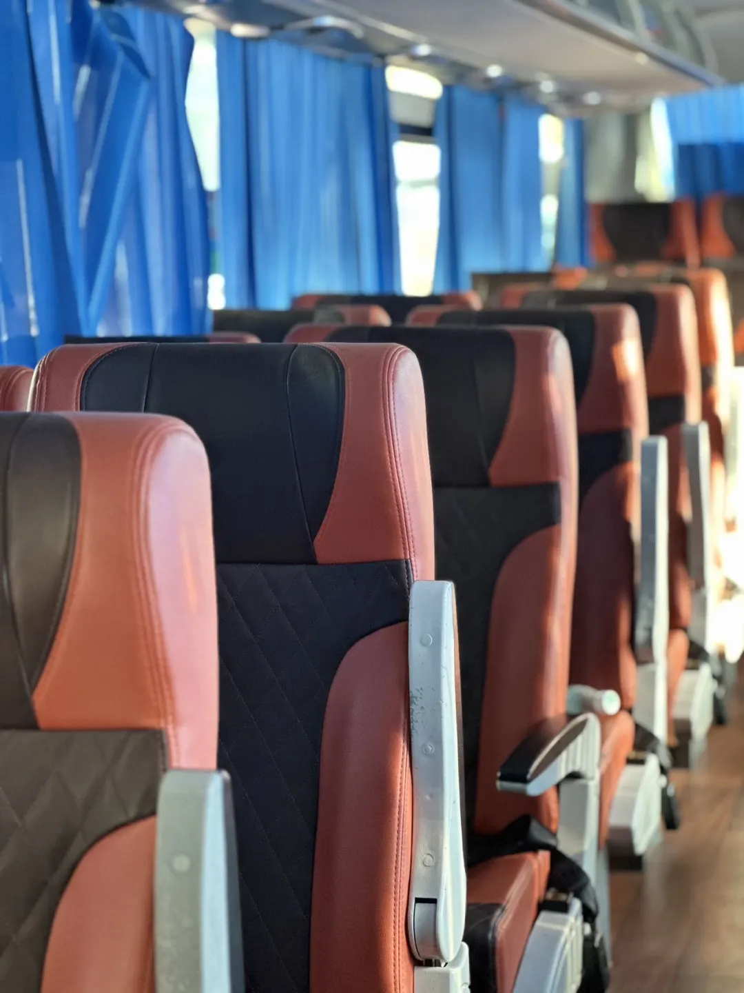 谁还没冲？新线路开通，一杯奶茶钱到南山！