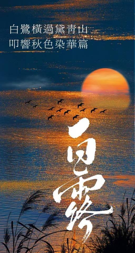 今日白露 ​​​