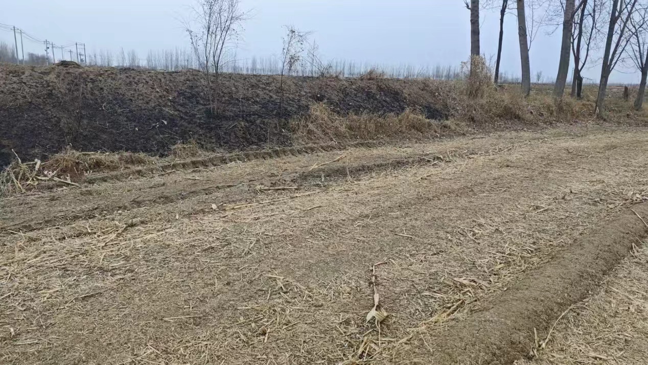 秦岭笑谈 【在田野的褶皱中，看见另一种可能】曲阜师范大学寒假社会实践三下乡 20