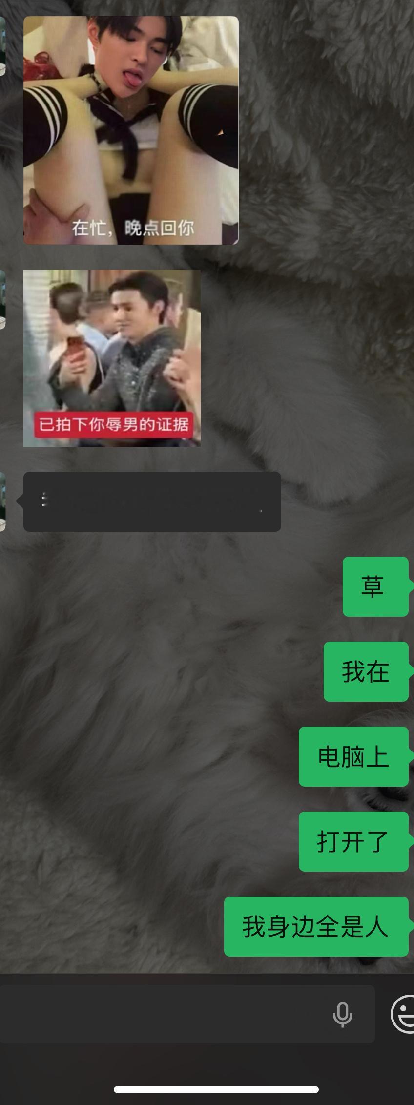 要死啊 