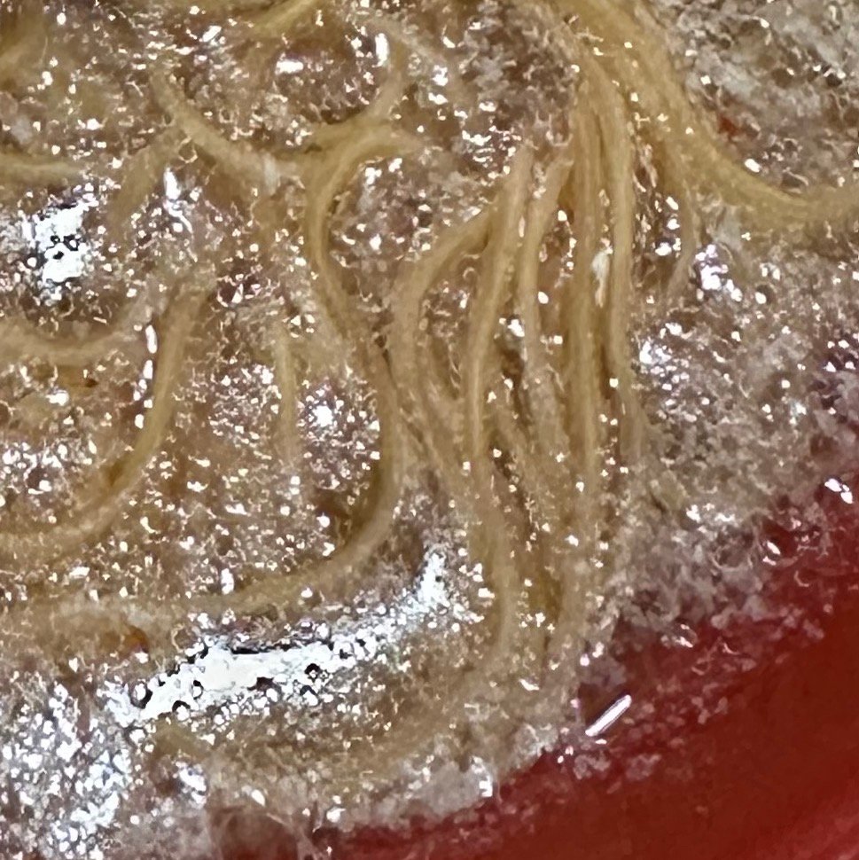 每日一餐分享 今天来做志工，中午吃了鸡丝面，好久没吃鸡丝面，还是记忆中的味道，不