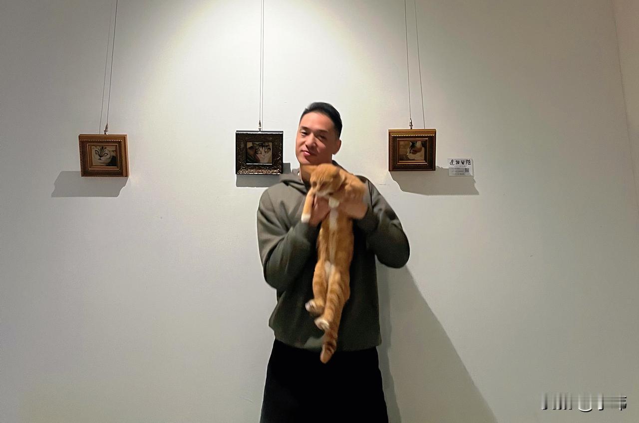 分享我这周有趣的事：大橘美术馆看展览撸猫好开心哦
