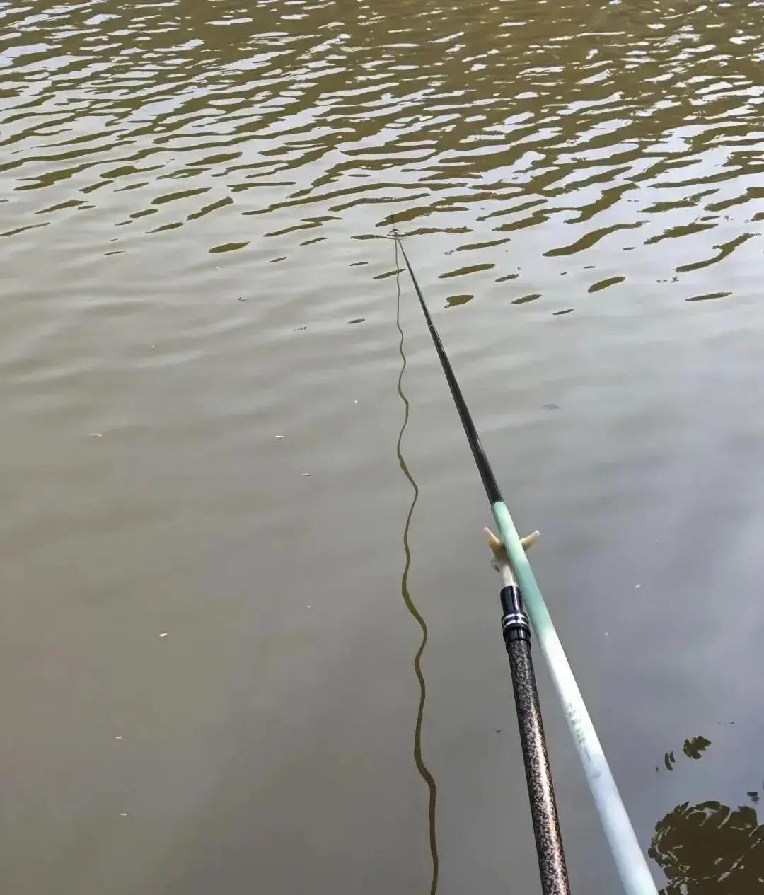 昨天野河边上，我空甩了11竿，鲫鱼明明在咬，钩子上全是鱼嘴黏液，却一条没中！
