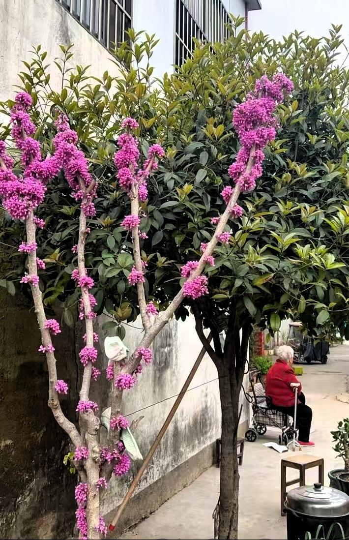 闹矛盾以后，
我对儿媳妇说……！

我想了一天一夜，我这辈子真的活得可失败，我干