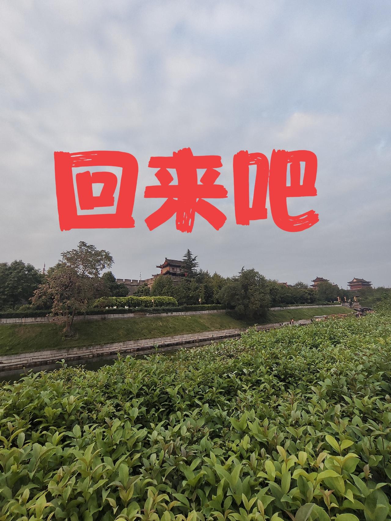 不主张武统是大陆的慈悲
两岸统一势在必行！台湾主权属于中国，属于中华民族！中国依