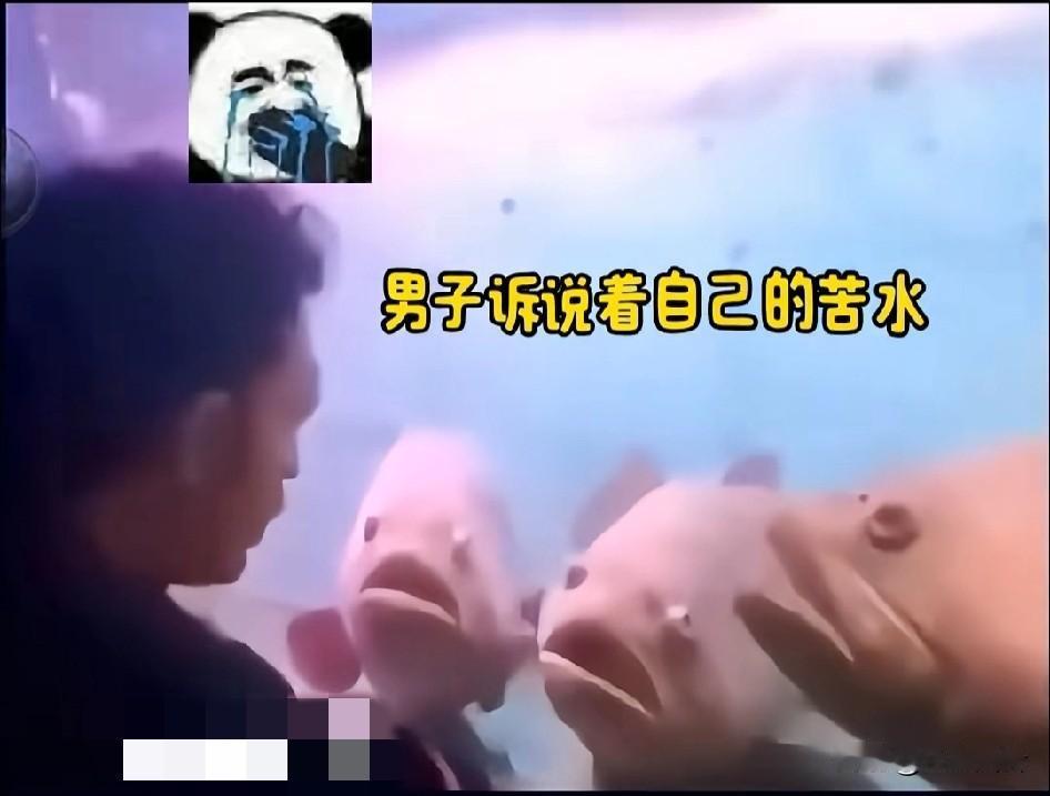 年底了，男子向三条鱼诉苦，三条鱼听了都抑郁，沉默了
公司破产了，我自己吃饭都困难