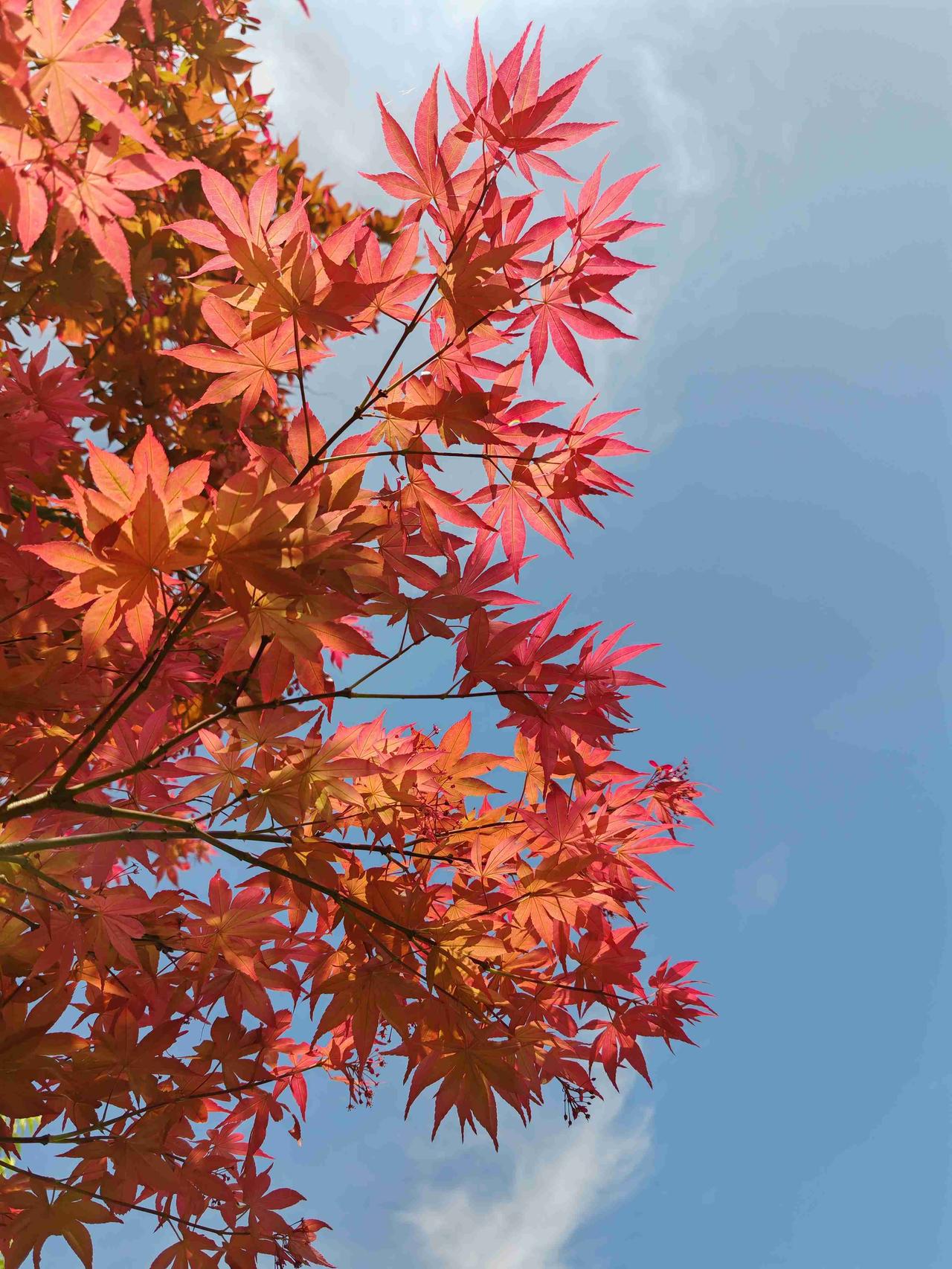 试着改变！
带定位晒今日生活
我的今日状态：💪🏻充满干劲
我这里的天气：🌤