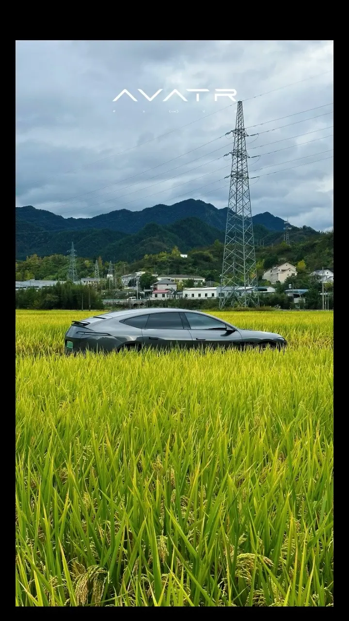 开阿维塔回村割稻子，吃饭可以先动筷吗？