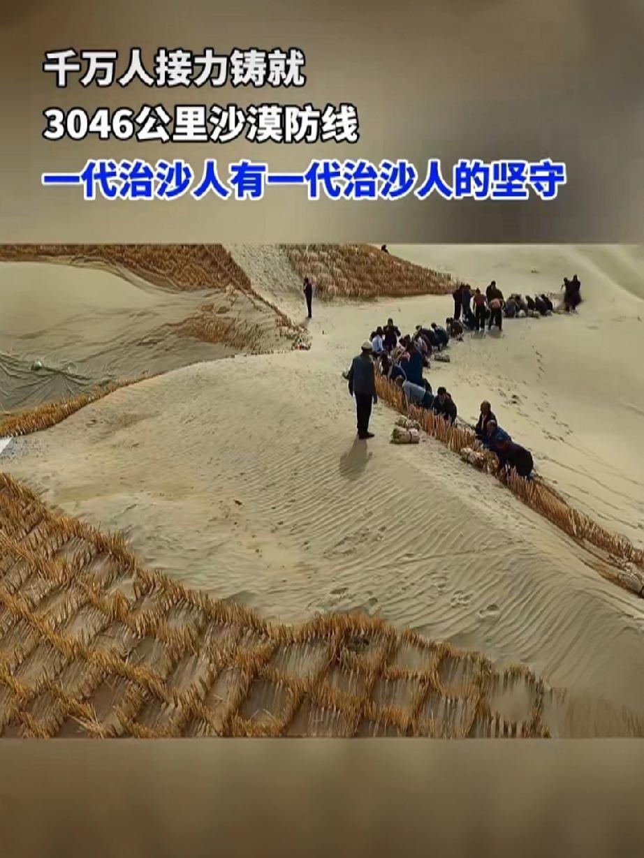 流沙止步处，是千万人筑起的绿色长城
 
当塔克拉玛干的狂风卷着流沙，以每年5到1