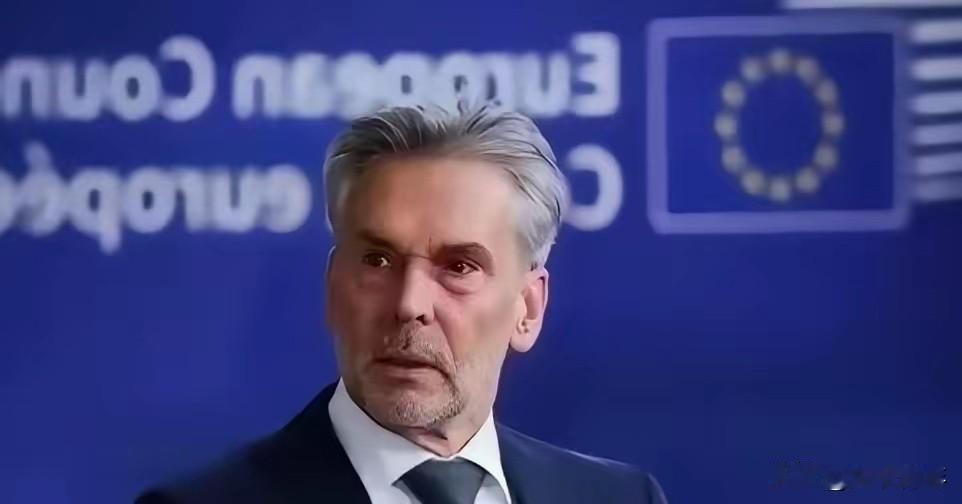 荷兰曾扬言 “硬抢稀土”？荷兰官员表示，如果中国断供稀土，他们会采取 “必要手段