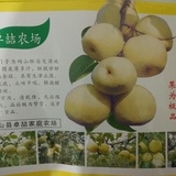 小璐爱聚汽车
