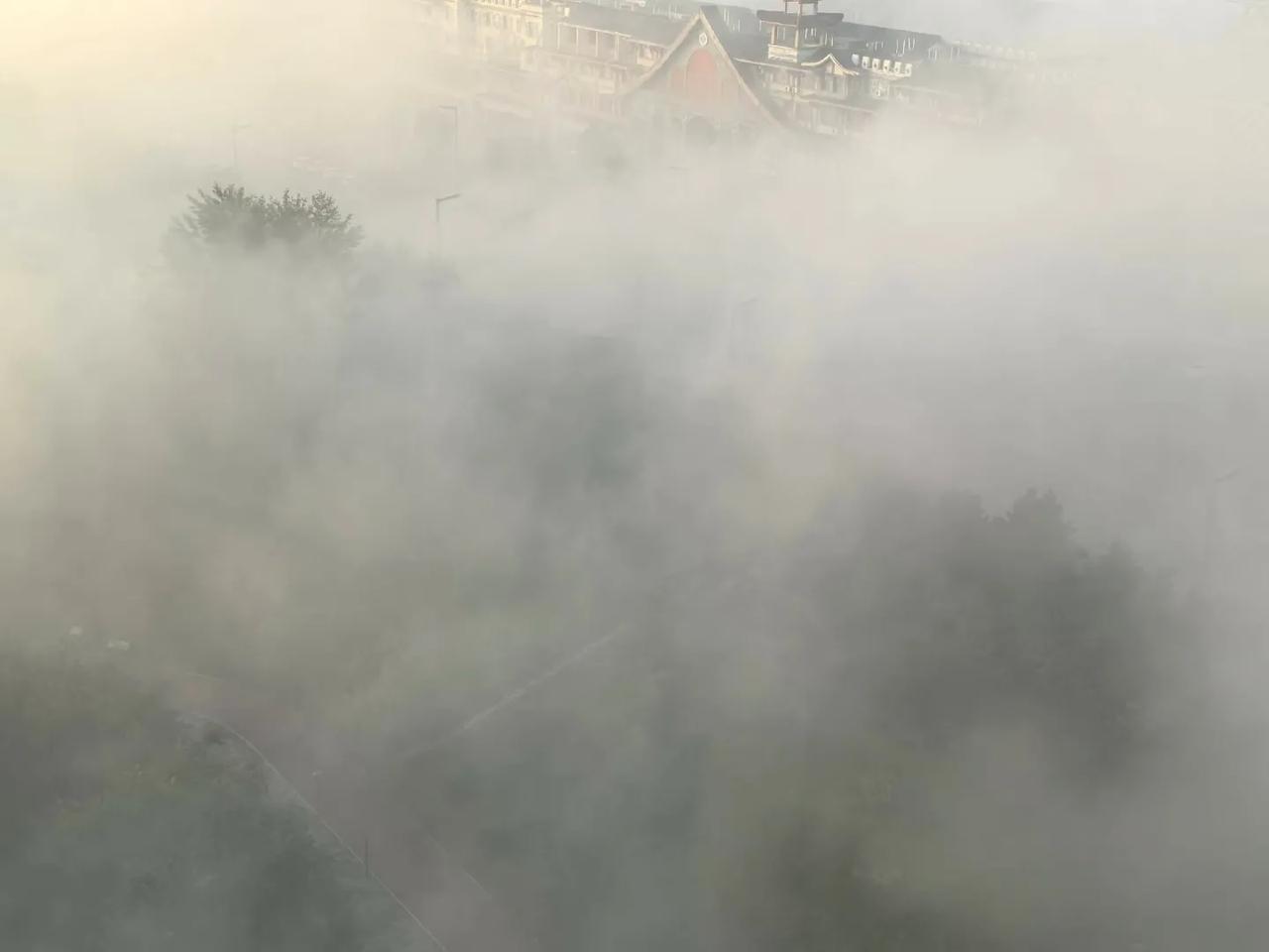 [微风] 雾  海 [微风]
雾锁高空挂树梢，
高楼才露小蛮腰。
海市蜃楼浮雾海