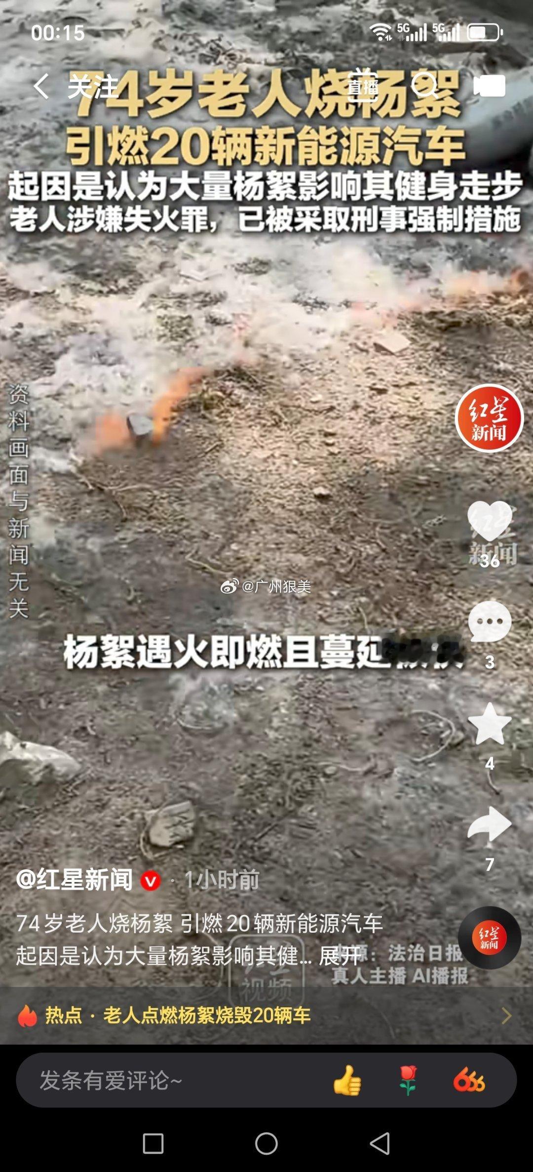 大连一74岁老人烧杨絮 引燃20辆新能源汽车 起因是认为大量杨絮影响其健身走步 