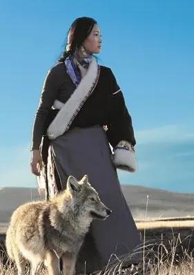 女画家李微漪说，第一次，我带着狼王格林，去了狼山，我想，让格林接触一下它的同类，