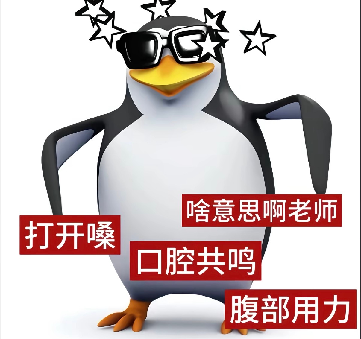 我每天belike： 