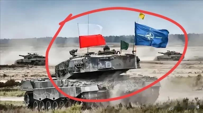 太天真了，有人问北约为何不下场？

你怎么知道，北约没下场，乌克兰战场上，已经到