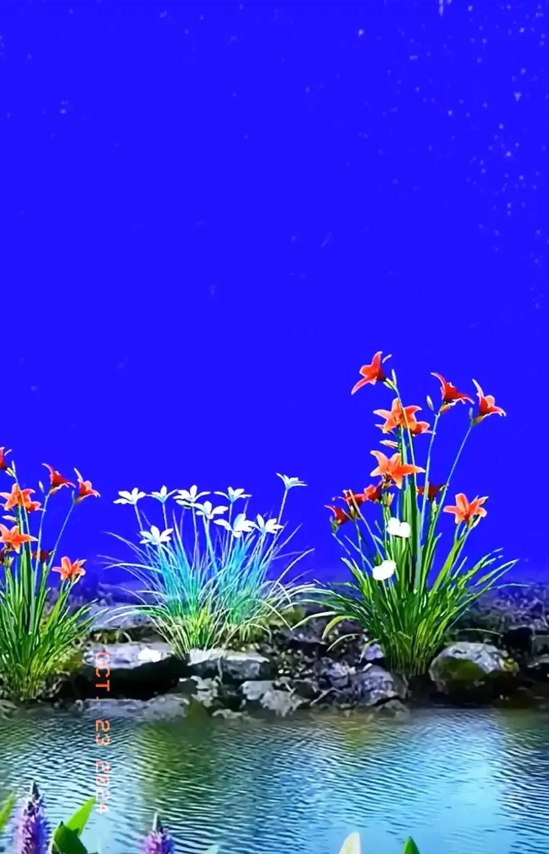 #诗与会友# 
◎
霞客方步韵、唱和“风花雪月”诗人佳作《水草花》
◎
随遇而安
