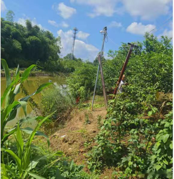 我们乡下果园水塘边都覆盖联通信号，田间地头5G网速照样流畅，平时直播卖果子、查农