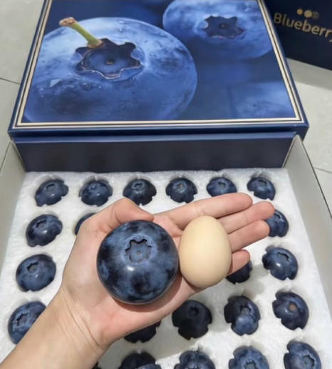 蓝莓价格大跳水了 年前的车厘子，现在的蓝莓，都用大跳水的词语了，集中上市，量上来