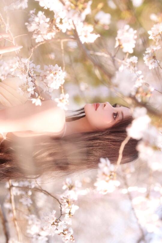 樱花树下站谁都美🌸