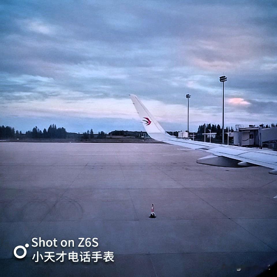 孙女和孙儿结束了近一个月的避暑旅游，昨天晚上如期顺利地回到了上海的家中。


今
