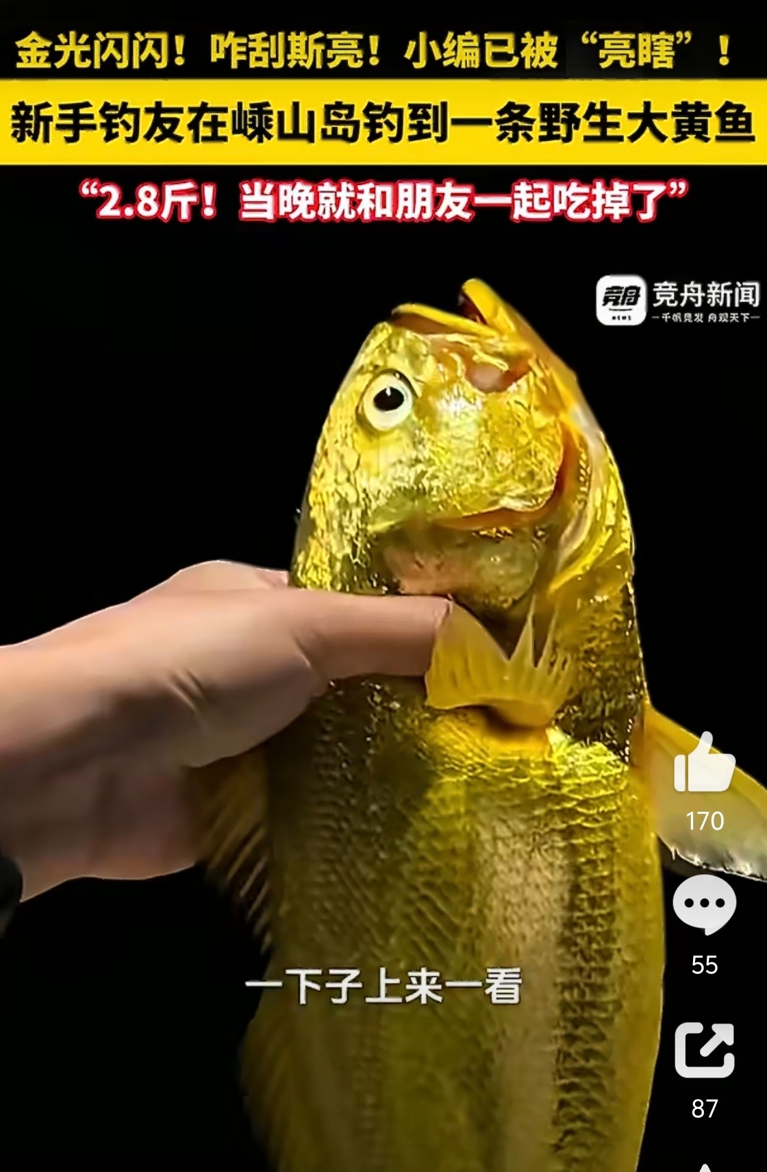 新手海钓钓起2.8斤野生大黄鱼 天啊！要不是热门我都不晓得黄鱼这么金！完美的像一