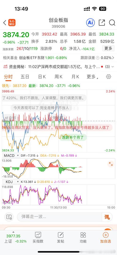 我绿了，终究还是撑不住这种跳水…a股