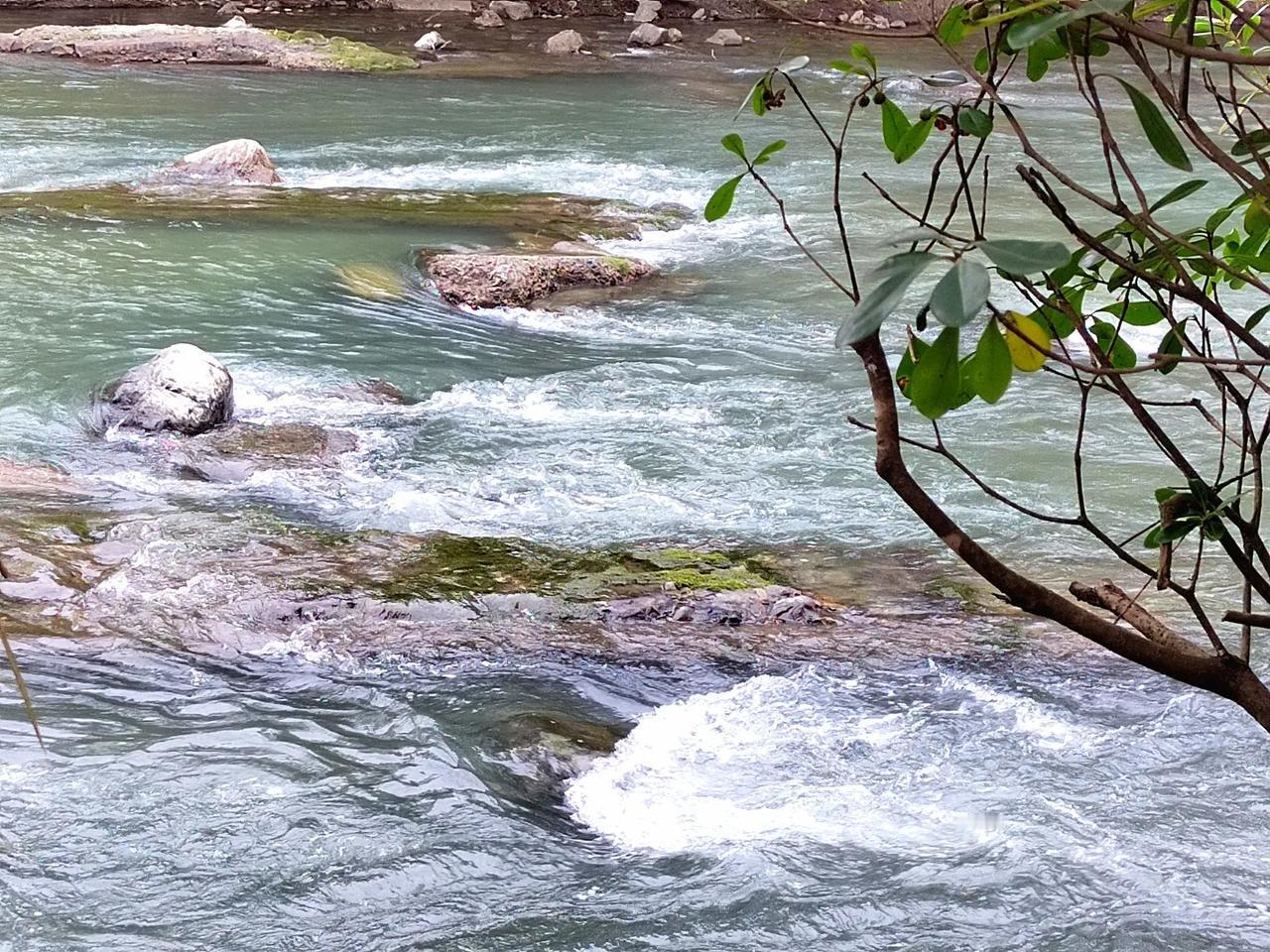 成都北林绿道旁的江安河现在可拍到冬天浅水湾的景色

成都江安河畔树多绿化好空气清