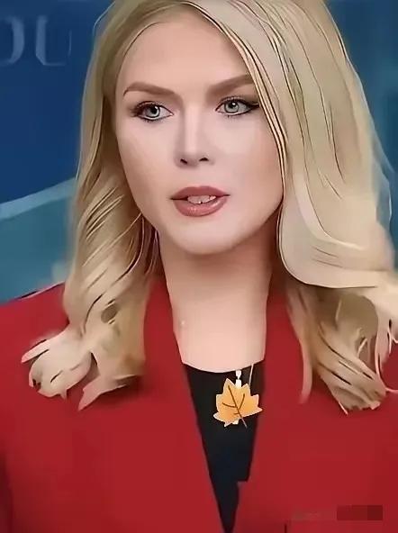 美国白宫宣布！
2026年3月31日，美国白宫新闻秘书莱维特宣布了一个重要消息，