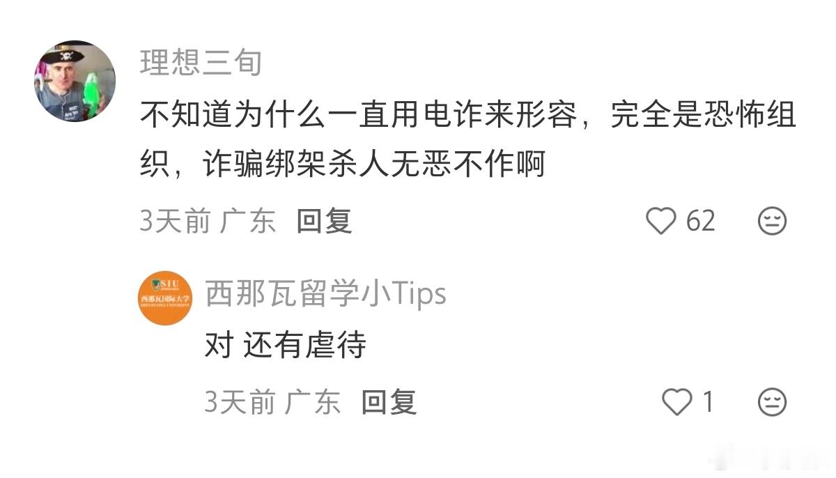 柬埔寨电诈 刘忍网友评论:不知道为什么一直用电诈来形容，完全是恐怖组织，诈骗绑架