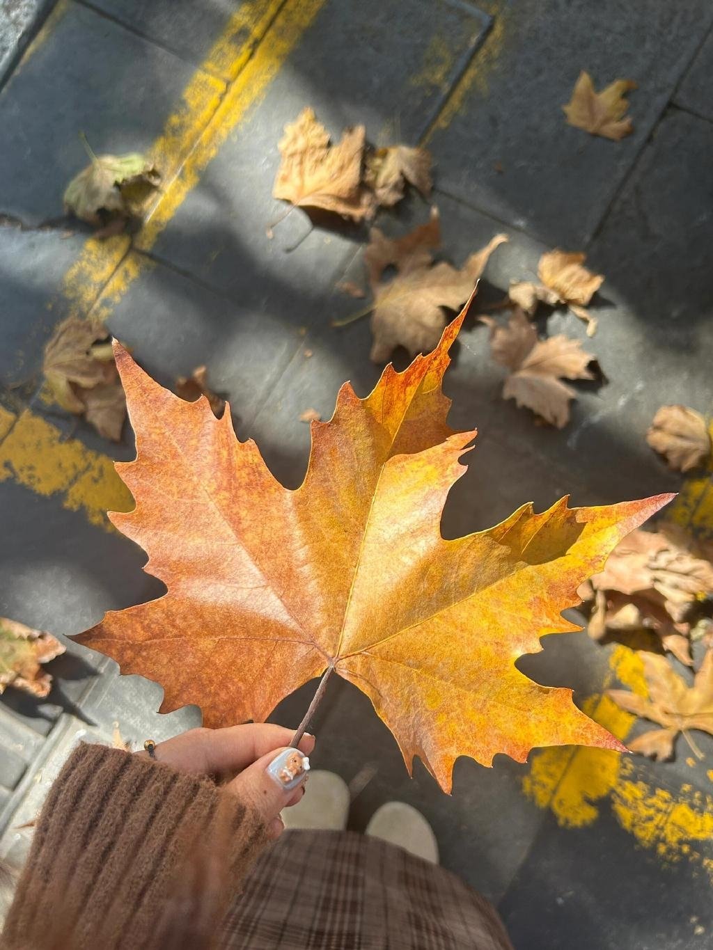 🫕‘’𝐞𝐧𝐣𝐨𝐲拍照 记录 让快乐有迹可循 📷  ... 