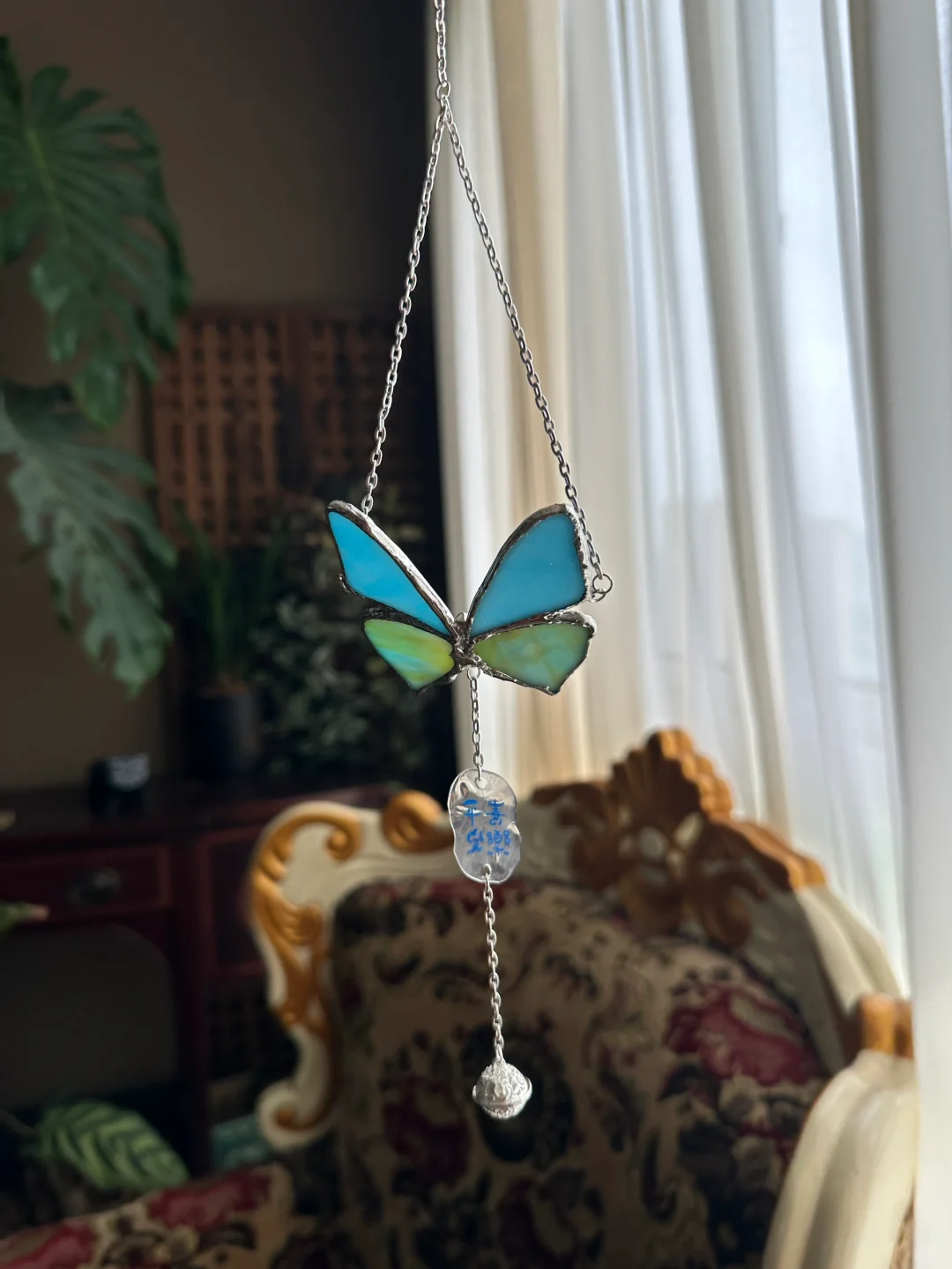 要来我家看蝴蝶吗？ 蓝色🦋 是仙女的颜色 ✨