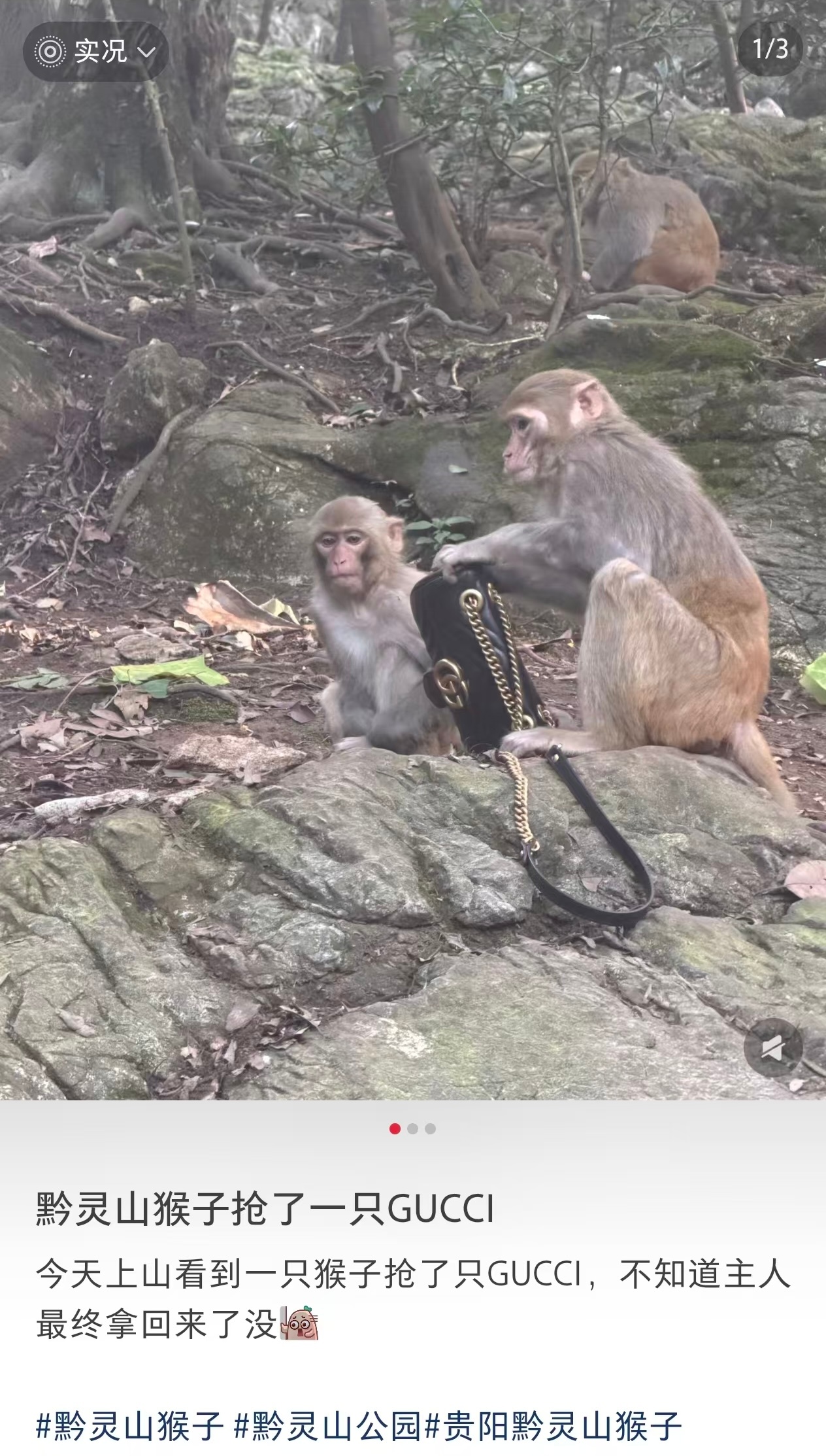 好神。。无需多言 