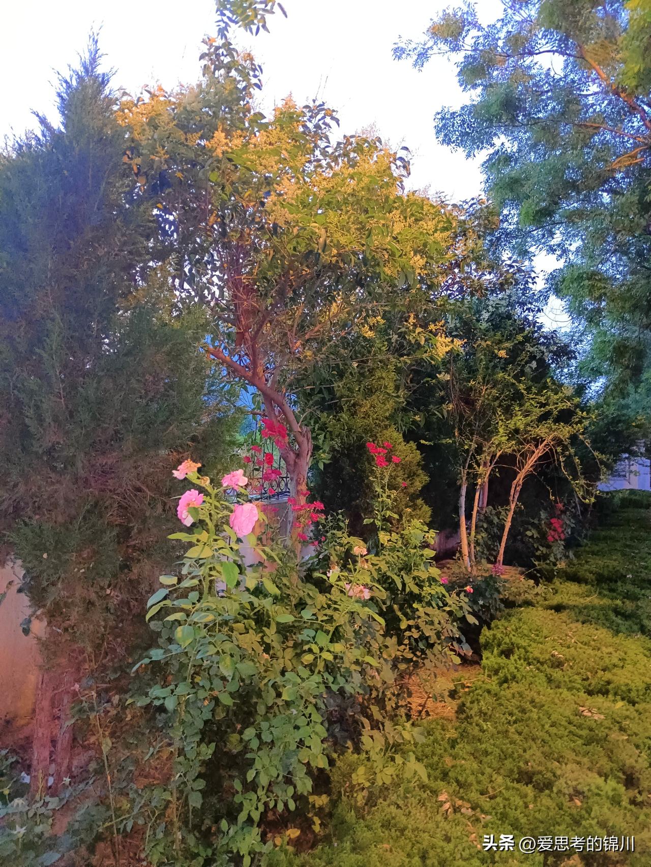 老美，我有些看不懂你了。
先是前几天女市长在家中性骚扰了儿子的同学，让家属告上了