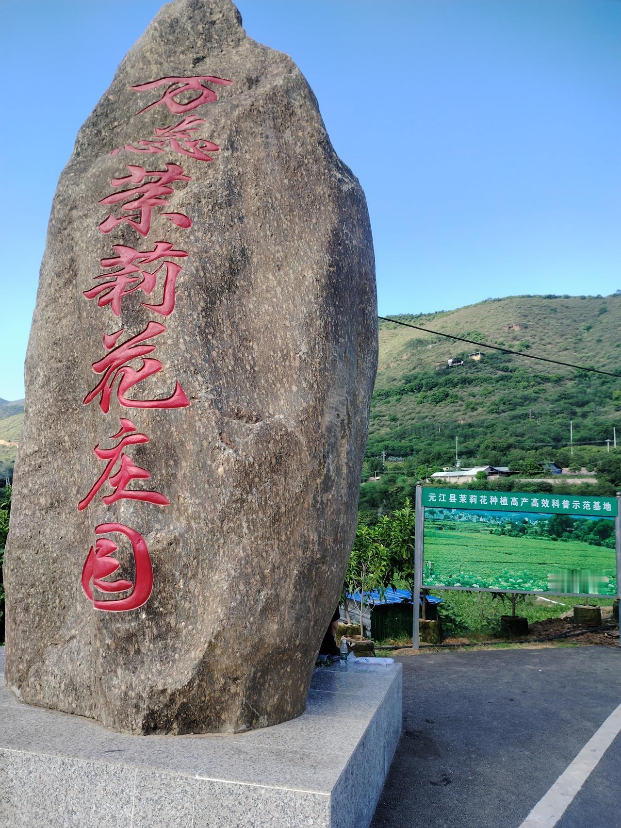 元江万蕊茉莉花园