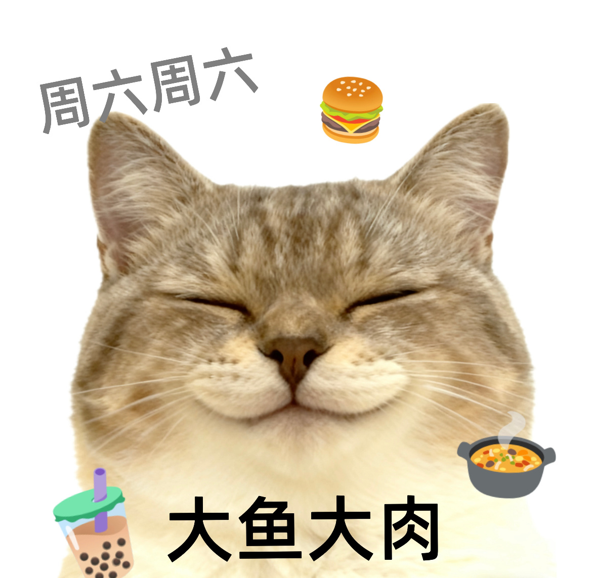 今天星期六，明天不上班但也要记得来打卡哦～因为，明天安排互动榜红包🧧卷妹的唠嗑
