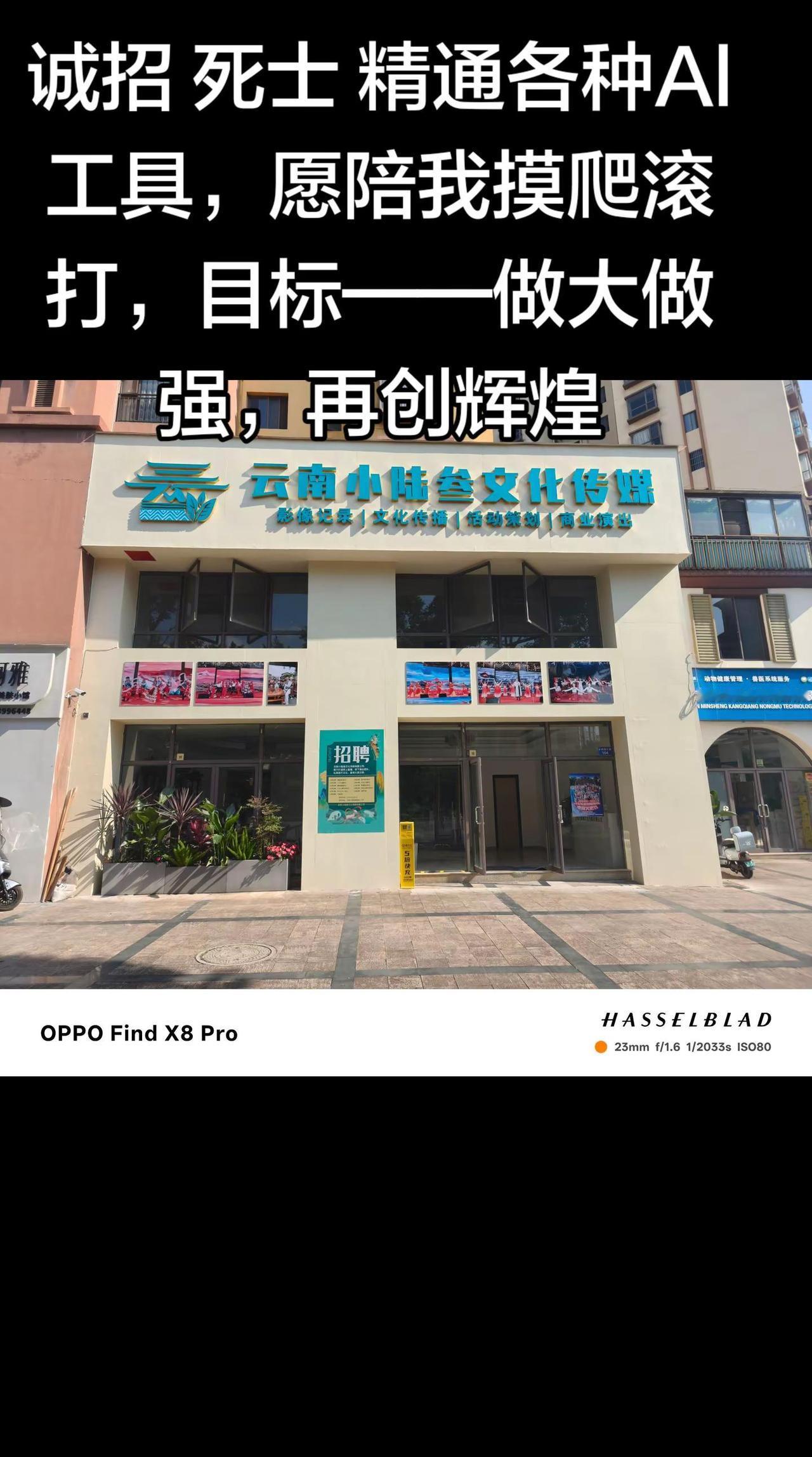 诚招 死士 精通各种Al工具，愿陪我摸爬滚打，目标——做大做强，再创辉煌！