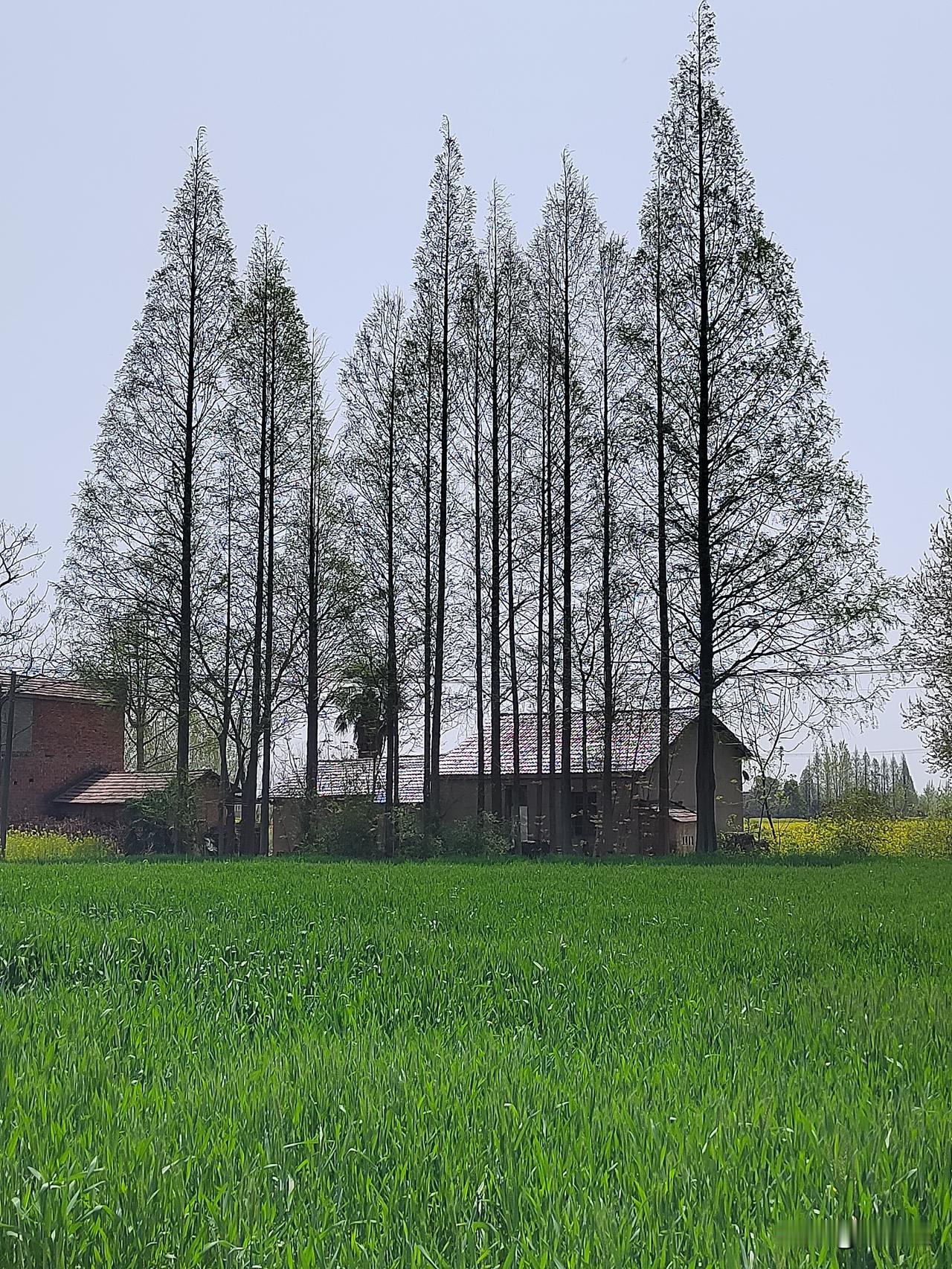 往事回忆：似鬼非鬼的故事
        今天跟大家分享一则小时候亲身经历过的小