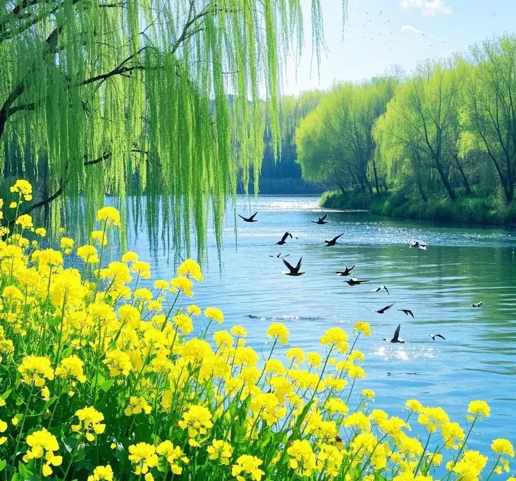七言诗~知感恩

如鱼得水逆水游。
可曾说过水之情！
人生发达兴致高，
心里咋忘
