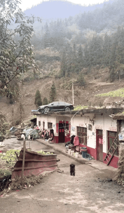 天呐！快告诉我它是怎么上去的？