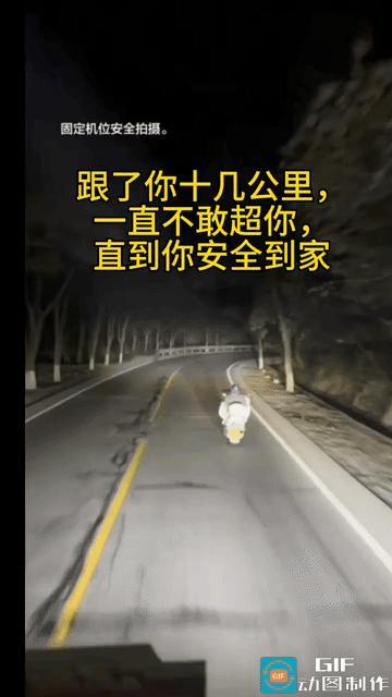 “黑夜守护者！”一货车司机开车行驶在黑夜的路上，前面一个女子骑着电动车一路疾驰应