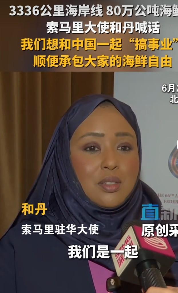 索马里女大使想和中国一起搞事业，这事儿挺让人兴奋的。中国在国际合作上一直秉持着互