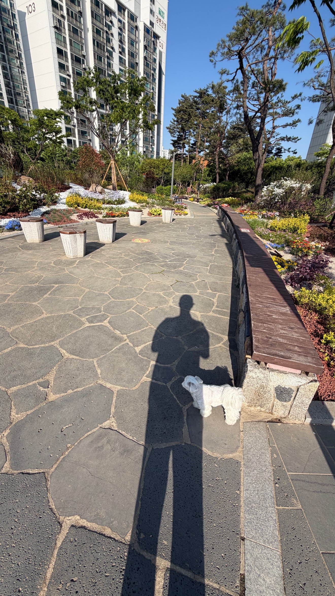 “CB百蓝_。260426利特 ins story更新： 