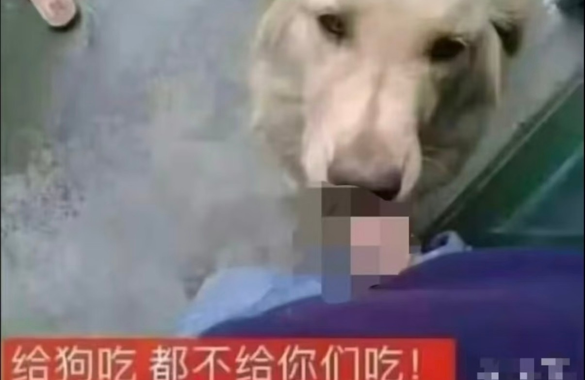 分享图片 