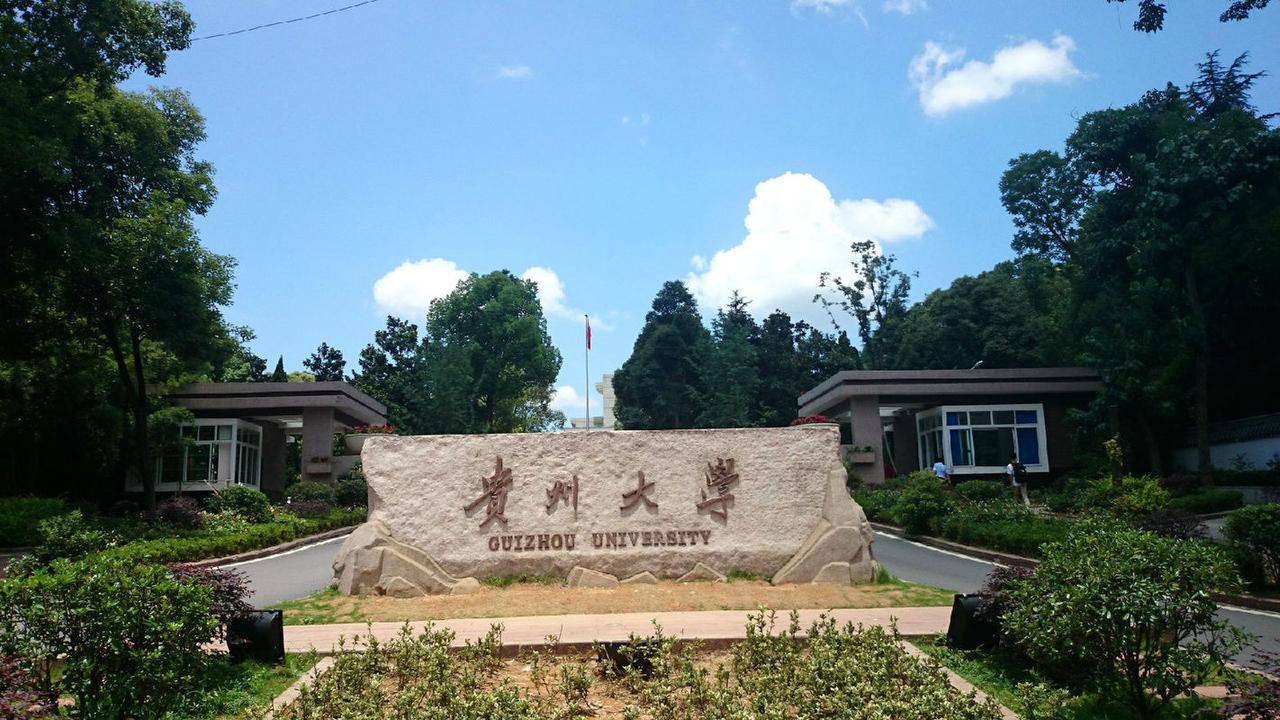 在被质疑“萝卜招聘”，引起广泛热议之后，贵州大学最终还是终止了招聘，在发布的通告