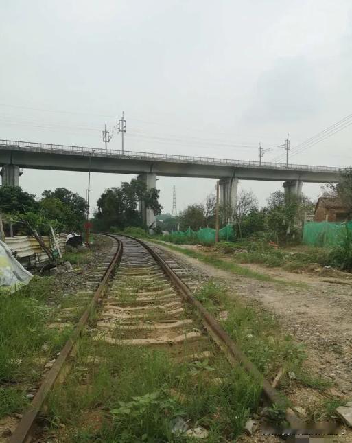 河南，两名男子无意中发现，某村有一条铁路，周围杂草丛生，铁轨看起来锈迹斑斑，仿佛